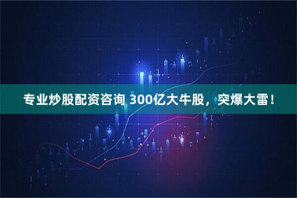 专业炒股配资咨询 300亿大牛股,突爆大雷!