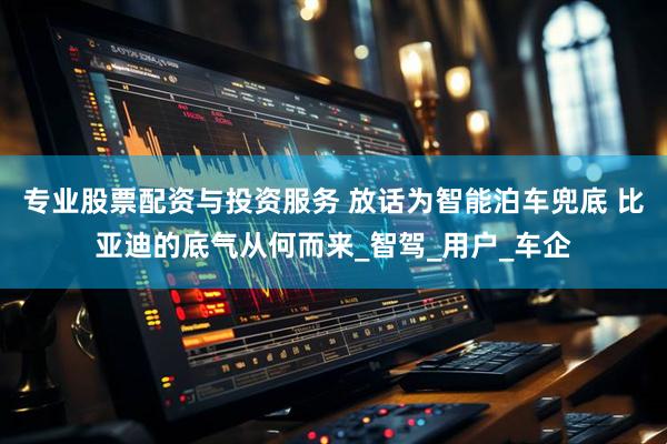 专业股票配资与投资服务 放话为智能泊车兜底 比亚迪的底气从何而来_智驾_用户_车企